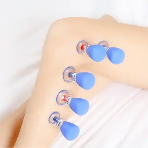 Upgrade Terapi Bekam China, Jarum Haci Five-Star Terapi Magnetik Bekam 10 Cangkir - Product Image 1