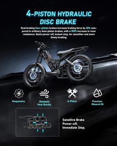 OEM ODM Pas Cher 26 Pouces 60AH 200Km Vélo Électrique Adulte Romeo Pro 48V 60Ah Batterie pour 200 Miles Longue Portée Charge Rapide 8A - Product Image 2