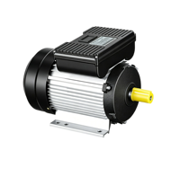 Moteur asynchrone monophasé série YL 220V AC, démarrage à double condensateur, IE2, couple élevé, usage intensif, 50Hz, montage sur pied, usage industriel