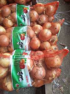 Los últimos productos agrícolas, cebollas amarillas frescas - Product Image 3