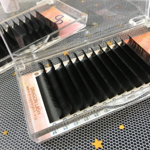 Velvet 0.03 0.05 0.07 Matte Dark Mega Volume Professional Lash Extensions Trays Custom Private Logo Box Package for Eye Makeup - Product Image 4