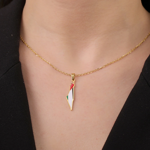 Collier pendentif en acier inoxydable plaqué or 18 carats, chaîne à maillons, style classique, carte du drapeau national palestinien émaillée - Product Image 6
