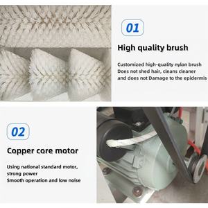 Mejor <span class=keywords><strong>precio</strong></span> cepillo <span class=keywords><strong>huevo</strong></span> limpieza lavadora dispositivo equipo <span class=keywords><strong>huevo</strong></span> lavadora dispositivo - Product Image 3