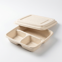 Offre Spéciale : Boîte à lunch jetable biodégradable à 4 compartiments en bagasse de canne à sucre, conteneur alimentaire carré avec couvercle, capacité 1000 ml