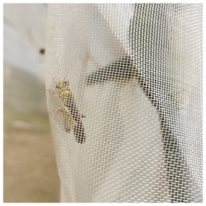 Red de cría de insectos de plástico resistente al sol de 5 años Red de cría de langostas - Product Image 4