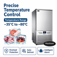 Congélateur vertical à plateaux personnalisés avec compresseur Tecumseh, direct usine, -80°C ℃   Pour la chaîne du froid / Usine de boissons lactées