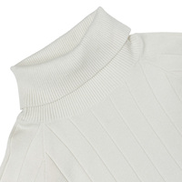 Pull en maille côtelée verticale de haute qualité pour femme, col roulé, manches raglan longues, poignets et ourlet côtelés, couleur crème, pour le bureau et le quotidien