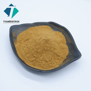 高麗人参エキス粉末高麗人参根粉末10:1 - Product Image 2