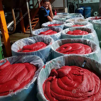 Ligne de production automatique de pâte de tomate aseptique de 1 à 500 TPD, usine de transformation de la pâte de tomate et de ketchup, machines de fabrication