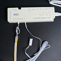 Alimentation électrique pour éclairage d'armoire LED, transformateur LED 60W 12V 24V avec connecteur DuPont pour éclairage de meubles