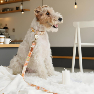 Elegant Modern Luxury <b>Dog</b> <b>Collar</b> Soft Cotton Fabric Comfortable Durable Morning Glory Printed Pattern Personalized Lighting Pets - Product Image 1