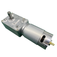 Moteur à vis sans fin électrique à aimant permanent anti-explosion à couple élevé Futeng 58*40.1mm 24V DC 12V