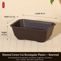 Pots à fleurs rectangulaires carrés pour plantes succulentes, en résine céramique, design respirant, plastique épaissi, écologique, style chinois rustique