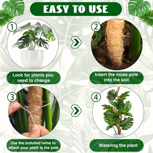 Poteau en mousse <span class=keywords><strong>pour</strong></span> plantes Monstera Poteaux en mousse <span class=keywords><strong>pour</strong></span> l'escalade Bâtons de plantes pliables Supports de plantes <span class=keywords><strong>pour</strong></span> intérieur/extérieur - Product Image 5