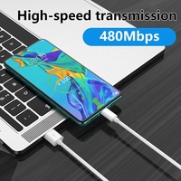 Câble de données USB-A vers Type-C à charge rapide 3A, gaine TPE, 1M 2M 3M, pour CarPlay, chargeur flexible pour iPhone 15 16 - Vente en gros