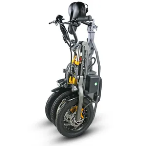 bici elettrica 14 pollici ruota Suppliers-Il annuale grande vendita 14 inch elettrico a tre/3 ruote della bici 48v 350W brushless ad Alta velocità del motore
