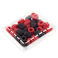Conteneur en plastique transparent pour fruits (raisins, cerises, myrtilles et tomates) avec trou d'aération, 250g, 500g, 1000g