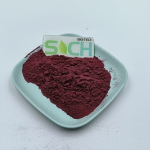 Poudre d'extrait de baies de <span class=keywords><strong>Blushwood</strong></span> de qualité alimentaire EBC 46 Extrait de baies de <span class=keywords><strong>Blushwood</strong></span> - Product Image 1