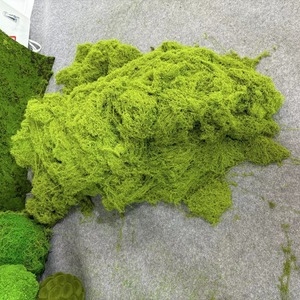 มอสประดิษฐ์แบบเส้นใย สีเขียวอ่อน สีเขียวเข้ม 100 กรัม 200 กรัม ของตกแต่งงานแต่งงาน ของตกแต่งบ้าน - Product Image 2