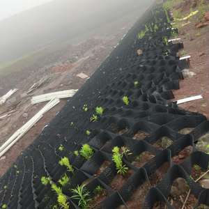 ราคาผู้ผลิต แผ่นพลาสติก HDPE รูปทรงรังผึ้ง 3 มิติ แบบมีรูพรุน สำหรับงานก่อสร้างถนน ใช้งานกลางแจ้ง แผ่นตาข่ายกรวด - Product Image 3