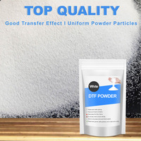 Poudre thermofusible TPU haute température 1 kg, blanche, 80-200, adhésive, super douce, ultra fine, poudre DTF pour impression par transfert thermique