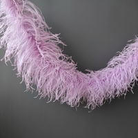 Boas en plumes d'autruche 5 plis, couleurs teintées, duveteuses, pour fêtes, mariages, robes de danse, vêtements, accessoires de décoration