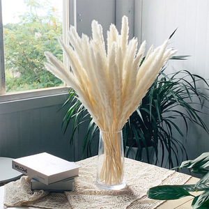Vente chaude Naturel Séchées Pampas Herbe Lapin <span class=keywords><strong>Queue</strong></span> Pour La Décoration - Product Image 3