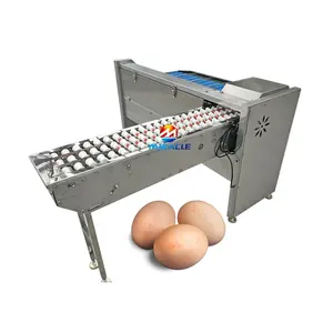 Satılık ticari otomatik tavuk yumurta ağırlığı greyder yumurta ağırlığı sınıflandırma kodlama makinesi