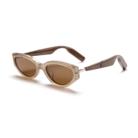 Lunettes de soleil audio intelligentes de pointe avec IA, lunettes de soleil musicales de haute qualité avec traduction, verres polarisés TAC, monture TR, lunettes de soleil intelligentes tendance