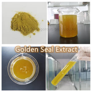 Polvo de extracto de raíz de sello dorado orgánico seco de alta calidad Berberine - Product Image 3