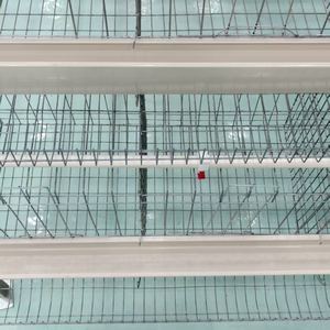 Ferme avicole Offre Spéciale a Type 5000 Poulet 120 Oiseaux Couche d'oeufs Cage à poulet Batterie d'animaux Oeuf Poule Élevage Poulailler - Product Image 2