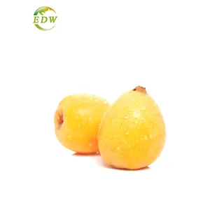 Factory Supply Fresh Loquat Fruit Extract Loquat Fruit Juice Powder With Good Price