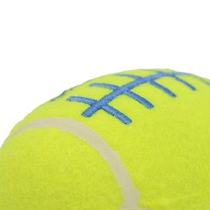 Venta caliente de alta calidad no tóxico perro pelota de tenis diversión al aire libre Cricket pelota mascota pelota de tenis - Product Image 6