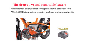 Bicicleta de Equilibrio para Niños de 250W, Diseño Nuevo de Alta Calidad 2024, Suspensión de 12 Pulgadas con Batería de 36V, Cuadro de Aluminio - Product Image 4