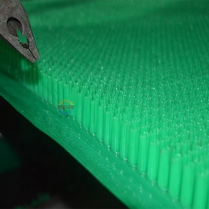 Machine d'extrusion de film plastique pour tapis de ponte de poulets PP PE, 1200 mm x 1000 mm - Product Image 5