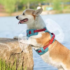 Tali anjing Oxford populer nyaman dan aman peredam kejut kepadatan tinggi tidak ada tarik mudah dipakai untuk anjing aktif - Product Image 6