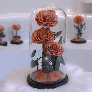 Vente en gros de roses <span class=keywords><strong>et</strong></span> fleurs préservées faites à <span class=keywords><strong>la</strong></span> main, durables 3-5 ans, pour <span class=keywords><strong>la</strong></span> fête des mères <span class=keywords><strong>et</strong></span> <span class=keywords><strong>la</strong></span> Saint-Valentin - Product Image 6