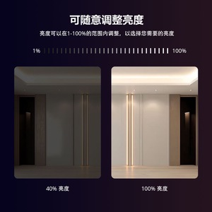 ZGMISMART Matter LED Strip Driver 12 24V DC 25A RGBCW Output Home Automation Control - Product Image 3