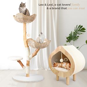 Gerçek ahşap Modern kedi ağacı kulesi katı ahşap tırmanma kulesi hasır kınamak kapalı kediler büyük yetişkin kedi tırmalama sütunu yatak lüks - Product Image 5