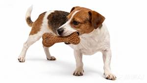 Giocattolo per Cani a Forma di Osso Bastoncino da Masticare Durevole per Pulizia Denti Intrattenimento Autonomo Alleviamento del Noia in Materiale Composito Legno-Plastica - Product Image 2