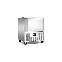 Congélateur professionnel pour hôtels et restaurants, congélateur à air vertical, design élégant, commande numérique, dégivrage automatique, 304