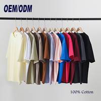T-shirt personnalisé avec impression graphique, streetwear, haute qualité, vente en gros, 220 g/m², coton, fournisseur d'usine, commande en gros