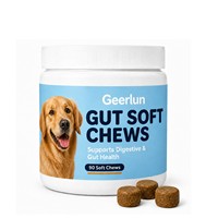 Friandises à mâcher personnalisées ODM pour la santé intestinale des chiens, à base de fibres de citrouille et de postbiotiques, supplément pour la flore digestive et le contrôle des odeurs