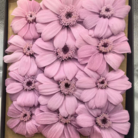 Fleurs de cosmos naturelles préservées, 12 pièces/boîte, 4-5 cm, fleurs de gerbera séchées éternelles, véritables, pour mariage, décoration de la maison, cadeau