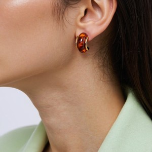 Fashion Resin <b>Titanium</b> Steel Stud Earrings For Women Amber Color Geometric Design Unique High-End Look - Product Image 2