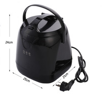 Sauna Steamer Portable Pot Sauna Steamer Steel Pot Generator Home SPA fumigazione macchina a vapore per il controllo remoto della disintossicazione del corpo