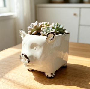 Pot à succulentes en céramique de forme irrégulière nordique, pot à fleurs créatif pour bureau, décoration de la maison, fournitures de jardinage - Product Image 2