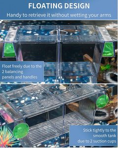 Acryl Broedtank Aquarium Kweekbak Isolatiebox Babyvissen Garnalen <span class=keywords><strong>Betta</strong></span> Met Zuignappen Plastic - Product Image 5