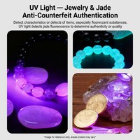 Linterna UV Portátil para Orina de Mascotas, Inspección de Higiene en Hoteles, IP65, Recargable por USB, Acero Inoxidable, con Pantalla Digital