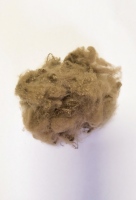 Fibre de polyester hydrophile creuse 6D*88MM pour la production de fils épais, substitut vert de la laine de mouton